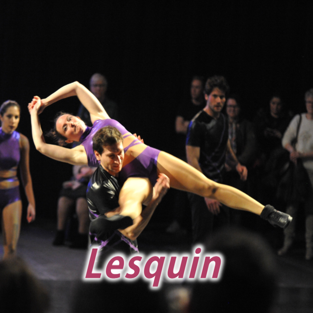 Paris rock acrobatique lesquin hauts de france démonstration gala spectacle acrobatie Vincennes Club