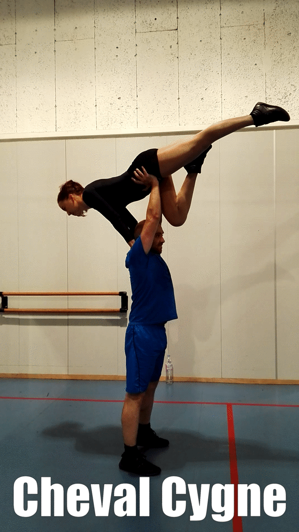 rock acrobatique acrobaties referentiel Cygne