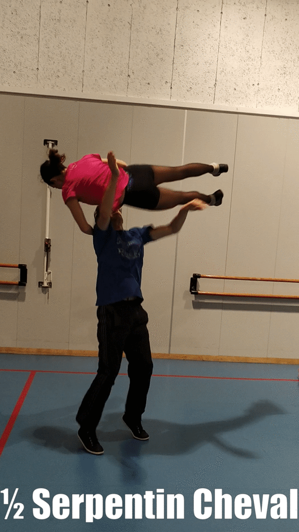 rock acrobatique acrobaties referentiel serpentin cheval