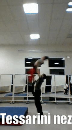 rock acrobatique acrobaties referentiel tessarini nez